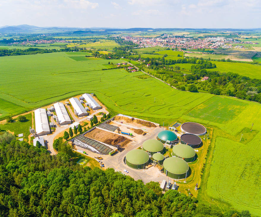 On-Demand Event | EBRI | Bioenergy: maximizing the UK potential