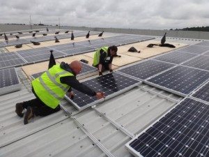 Government’s lack of clarity means new green jobs missed, MPs say
